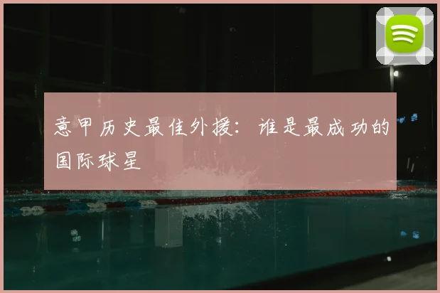 意甲历史最佳外援:谁是最成功的国际球星
